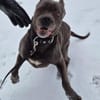 Reka - Einzelprinzessin sucht Zuhause