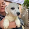BOB - Kleiner Herzensbrecher sucht Dich!