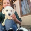 BOB - Kleiner Herzensbrecher sucht Dich!