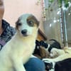 MURPHY wartet auf sein großes Glück