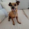 ROXY LA COQUINE