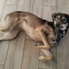 Skye