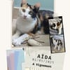 Aida