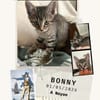 Bonny