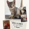 Bellamy
