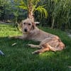 Judy sucht ihre Familie