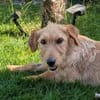 Judy sucht ihre Familie