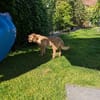 Judy sucht ihre Familie