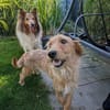 Judy sucht ihre Familie