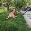 Judy sucht ihre Familie