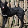 Doris