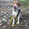 sensible Seele sucht Orientierung