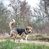 sensible Seele sucht Orientierung