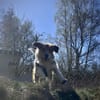 sensible Seele sucht Orientierung