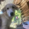 Zuhause gesucht für Eddy