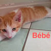 BEBE et BUBU