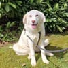 NELLIE * großes Mädchen, großes Glück