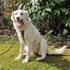 NELLIE * großes Mädchen, großes Glück