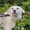 NELLIE * großes Mädchen, großes Glück