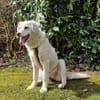 NELLIE * großes Mädchen, großes Glück
