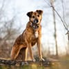 MACI * liebe Seele s. einfühlsames Heim