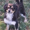 PIT - selbstbewusster kleiner Schatz