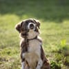 KIBA * Ihre Menschen sind Ihre Welt