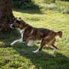 KIBA * Ihre Menschen sind Ihre Welt