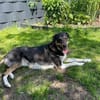 Merve  hochsensibel und besonders