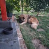 KALEO - kontaktfreudig und freundlich