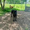 🐶 Besonderer Bono sucht Glück 🐶