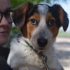 Mocca - liebenswert & verschmust
