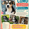 COMO, Mix, geb. 09/2023