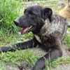 Lustige Betti sucht dich