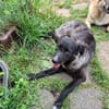 Lustige Betti sucht dich