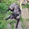 Lustige Betti sucht dich