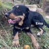 Emma - toller Charakter