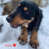 Emma - toller Charakter