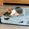 Neyla sucht ein liebevolles Zuhause