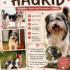 HAGRID, Mix, geb. 03/2019