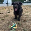 DARKO