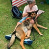 Treue Kira sucht ihre Familie