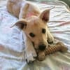 SUNI, sanfte junge Dame sucht