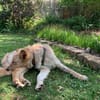 Lieber Luca sucht seine Familie