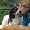 Peppe sucht eine liebe + aktive Familie