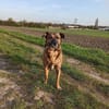 Perseas aus 50997 Köln sucht sein Zu Hause