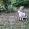 Wunderhübsche, liebe Tilda