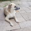 Wunderhübsche, liebe Tilda