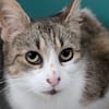 MINETTE