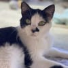 Entspannte Viona sucht ruhiges Zuhause